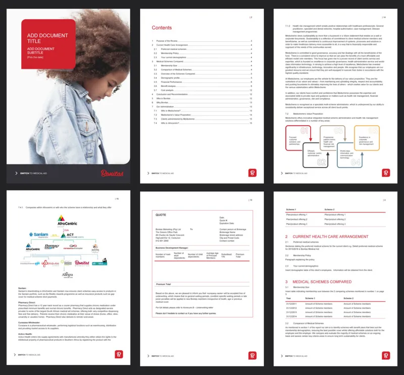 Word report pages with red accents, process diagrams and tables
